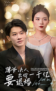 新薄爷夫人出价一千亿要退婚(蓝光)