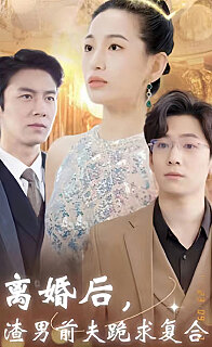 离婚后渣男前夫跪求复合(蓝光)