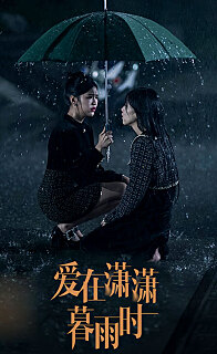 爱在潇潇暮雨时(蓝光)