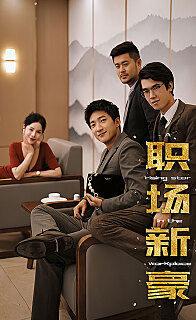职场新豪逆袭职场从整顿办公室开始长篇（蓝光）