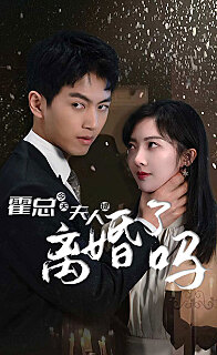 霍夫人每天都想离婚霍总今天夫人提离婚了吗长篇（1080）
