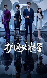 护国女将星骆总你夫人超能打（蓝光）