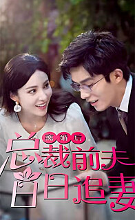 离婚后总裁前夫日日追妻(蓝光)