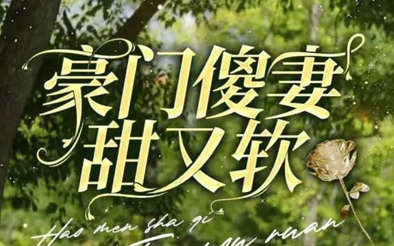 豪门傻妻甜又软(1080)