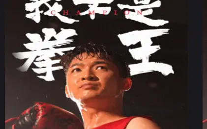 我不是拳王(蓝光)