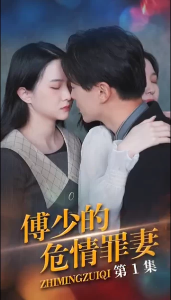 傅少的隐婚罪妻(蓝光)