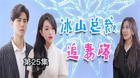 冰山总裁追妻路(4K)