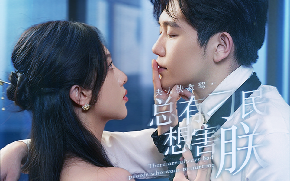 夫人快救驾总有刁民想害朕(蓝光)