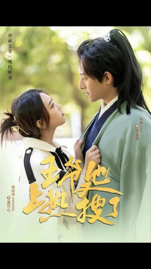 王爷他又上热搜了（蓝光）