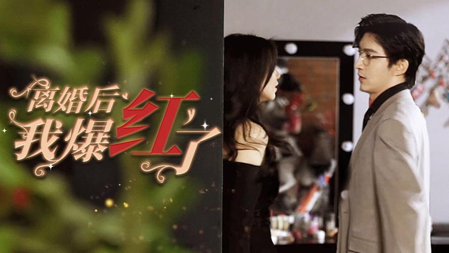 离婚后我爆红了(1080)