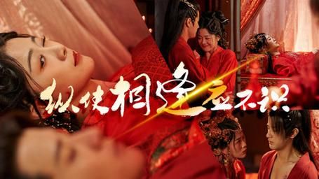 纵使相逢应不识（蓝光）