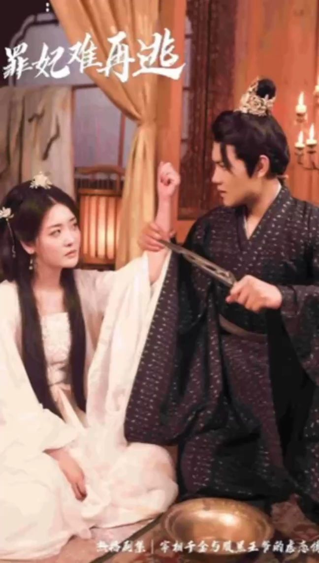 只愿从来不识君罪妃难再逃(1080)