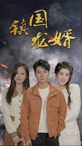 镇国龙婿（蓝光）