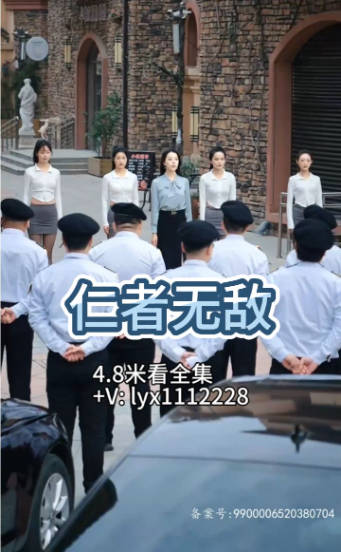 仁者无敌(1080)
