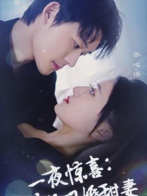 一夜惊喜陆总的闪婚甜妻(蓝光)