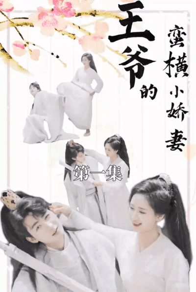 王爷的蛮横小娇妻(蓝光)