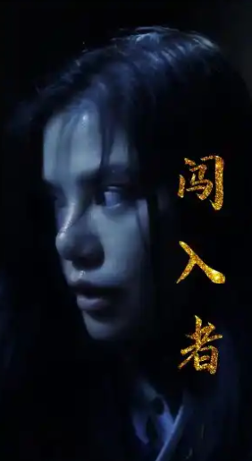 闯入者(1080)