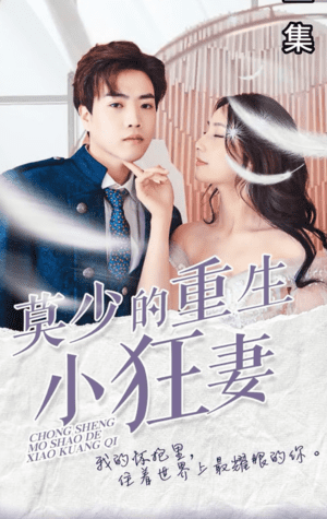 莫少的重生小狂妻(1080)