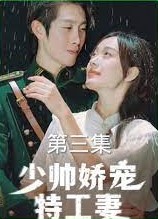 少帅娇宠特工妻(蓝光)