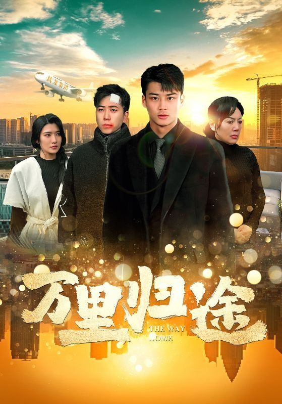 万里归途（蓝光）