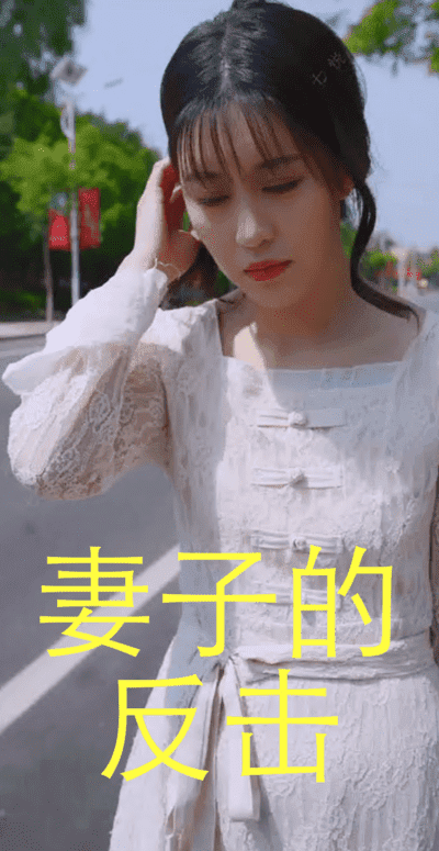 妻子的反击（1080）