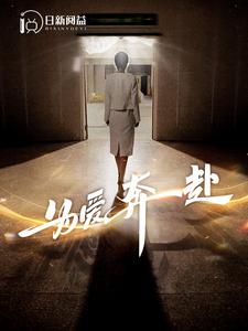 为爱奔赴（1080）