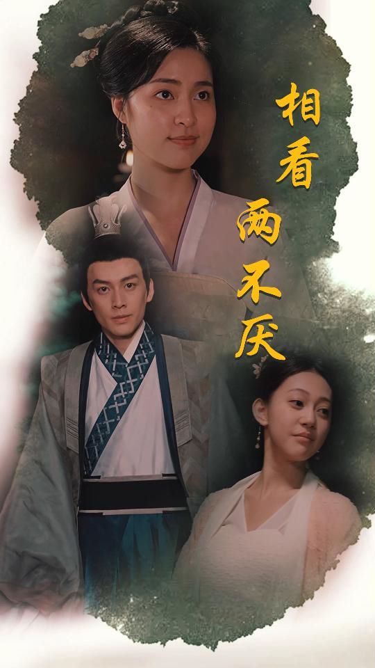 相看两不厌这个王妃不好惹(1080)
