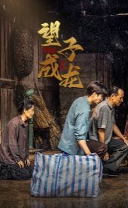 望子成龙（蓝光）