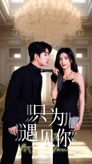 只为遇见你(蓝光)