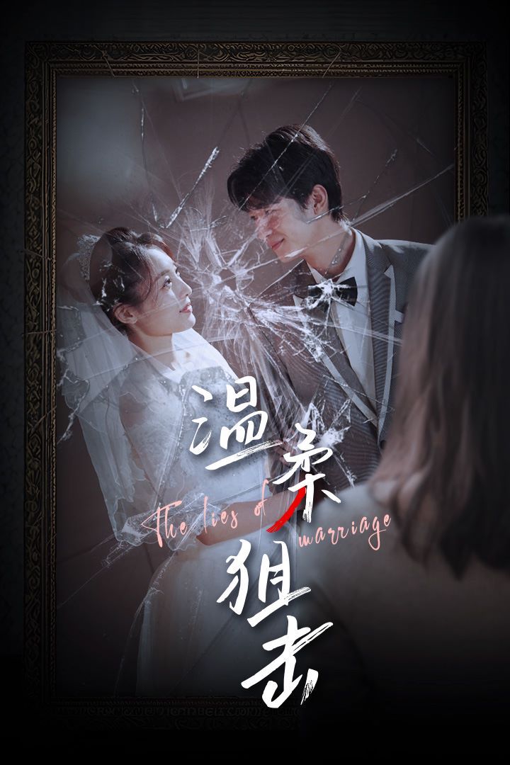 温柔狙击婚姻迷雾婚姻的谎言(蓝光)