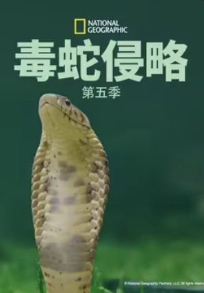 毒蛇侵略第五季(蓝光)