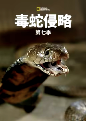 毒蛇侵略第七季(4K)