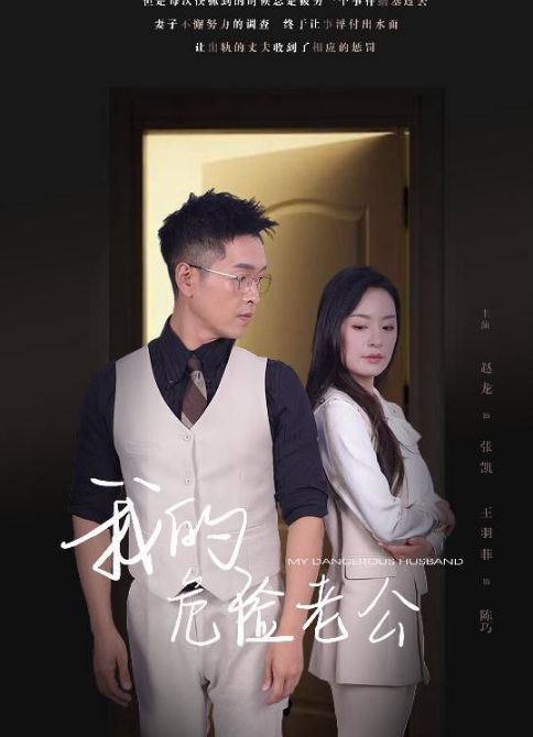 新我的危险老公(蓝光)