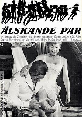 相敬如宾(蓝光)