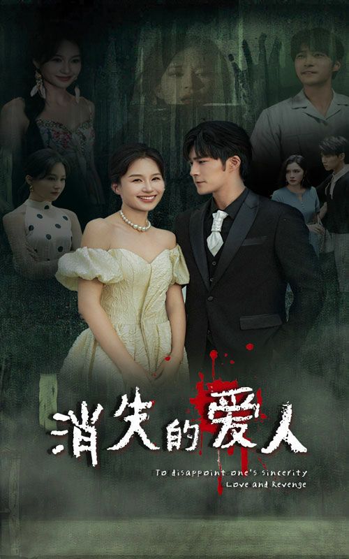 消失的爱人(1080)