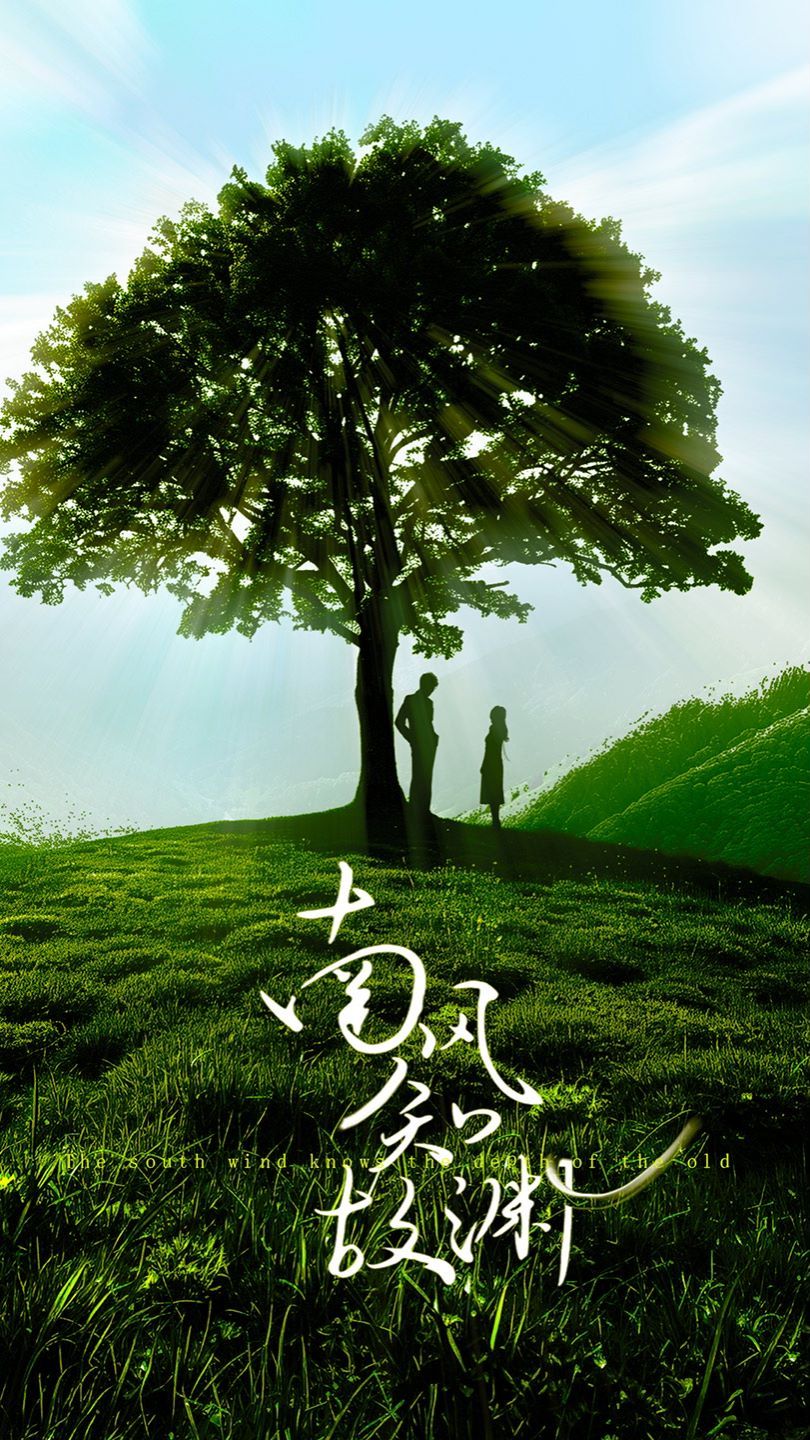 南风知故渊皎皎南风星(蓝光)