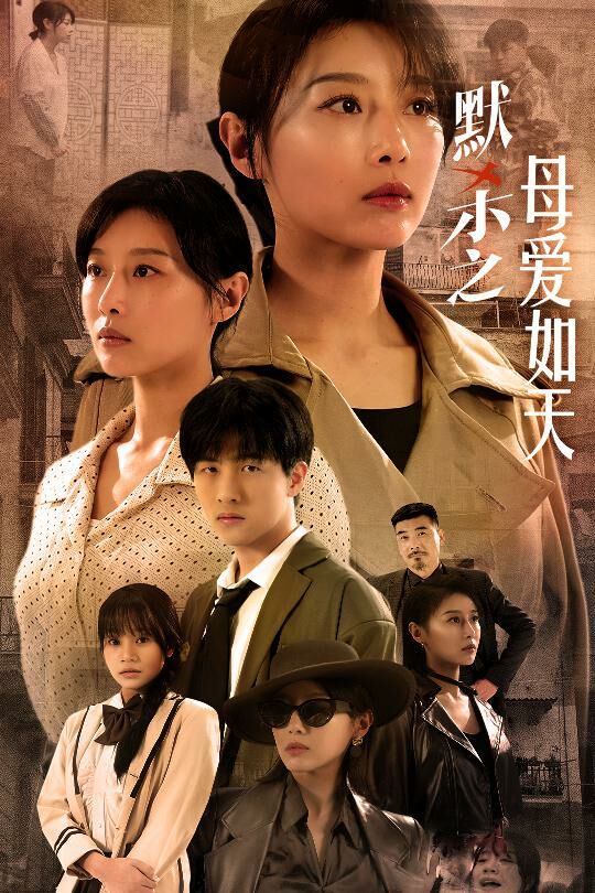 默杀之母爱如天默杀之母亲之怒(蓝光)