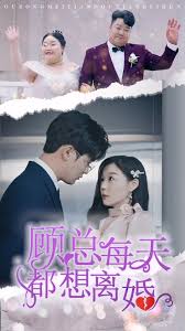 顾总每天都想离婚（蓝光）