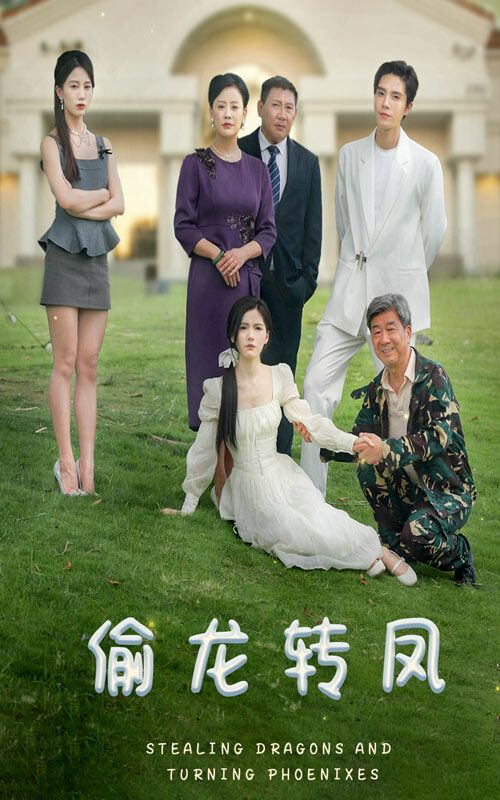 偷龙转凤（1080）