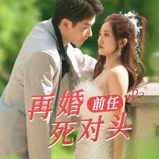 再婚前任死对头（1080）