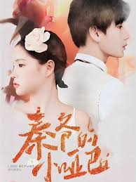 秦爷的小哑巴第一部（蓝光）