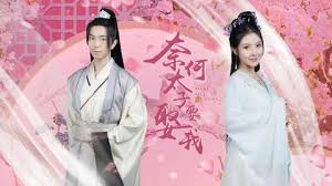奈何太子要娶我(1080)