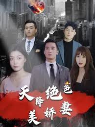 天降绝色美娇妻（蓝光）
