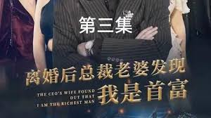 离婚后总裁老婆发现我是首富（1080）