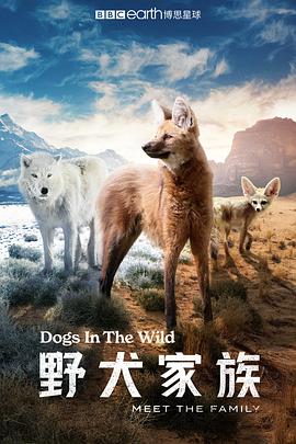 野犬家族(蓝光)