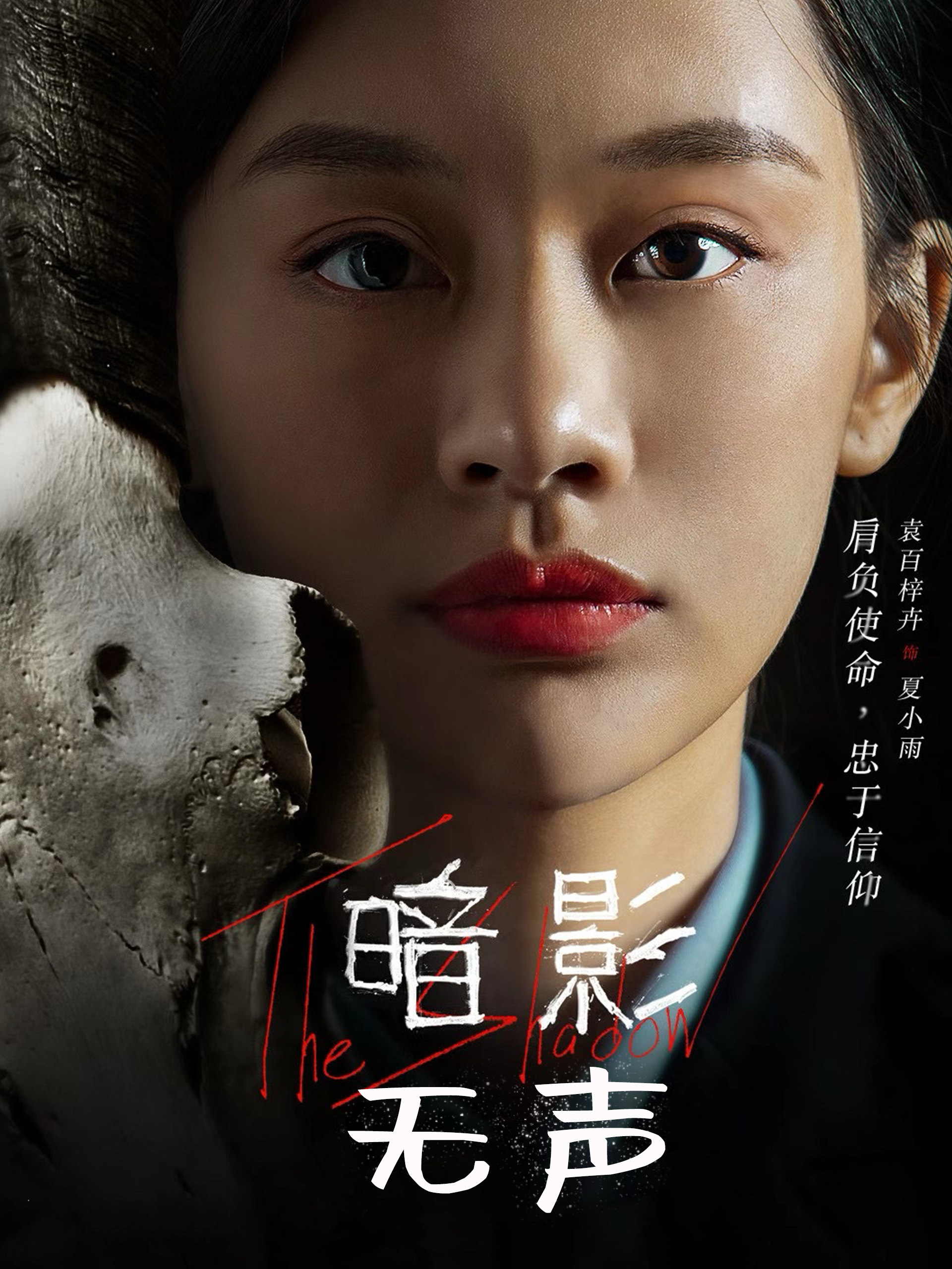 暗影无声(1080)