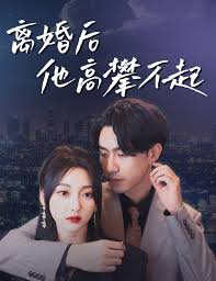 离婚后他高攀不起(4K)