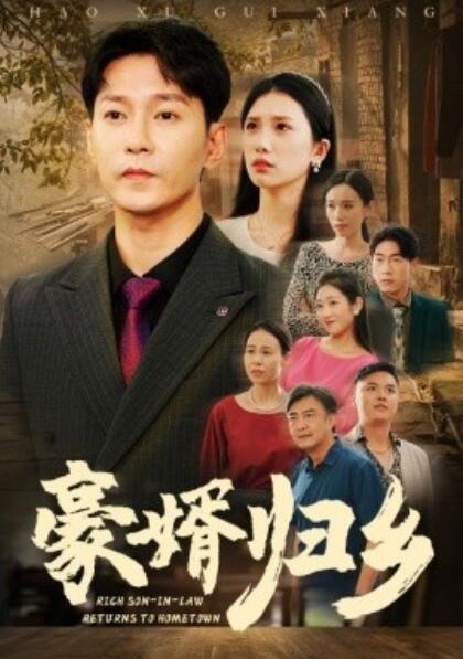 豪婿归乡豪婚归乡(1080)