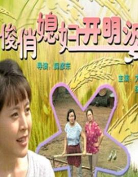 俊俏媳妇开明婆(蓝光)
