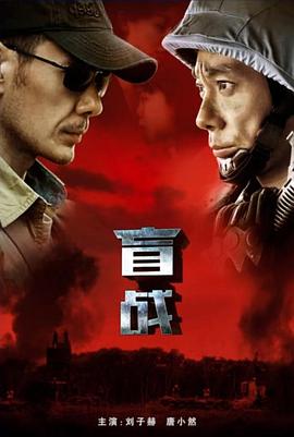 盲战(蓝光)